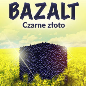 Rzepak ozimy - nasiona rzepaku ozimego - bazalt
