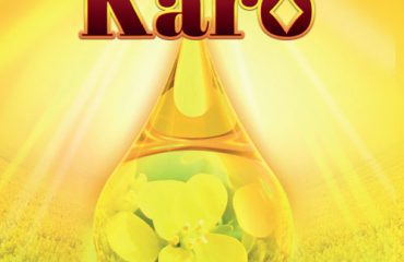 Rzepak Jary - Odmiany rzepaku jarego - Nasiona rzepaku jarego