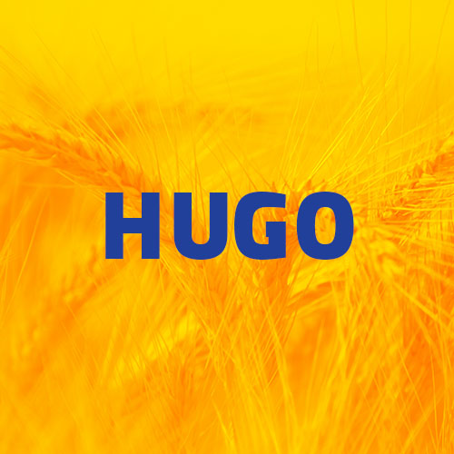 hugo