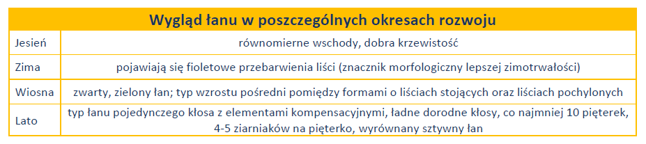 wygląd łanu