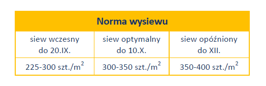 Bez nazwy