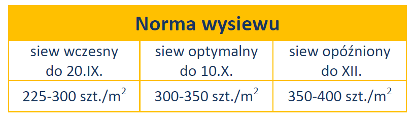Opcja