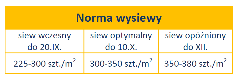 normy Venecja