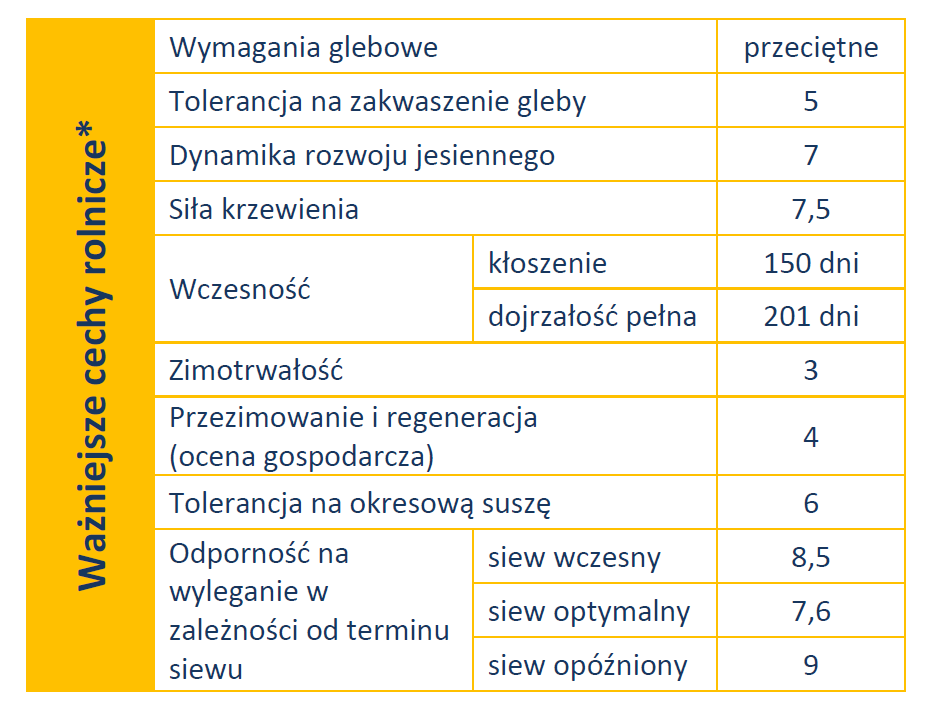opcja