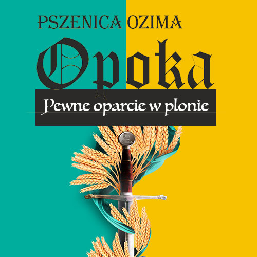 opoka