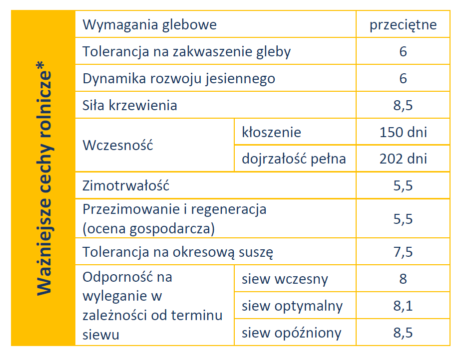 poezja