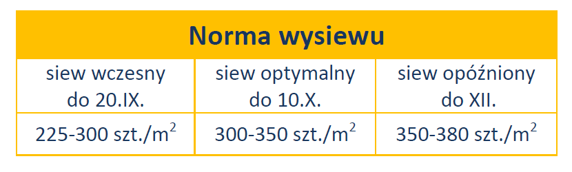 wilejka