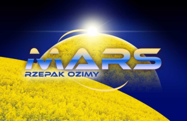 Rzepak – nasiona rzepaku – odmiany rzepaku – Rzepak ozimy - nasiona rzepaku ozimego - MARS