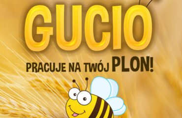 Pszenżyto - Najlepsze pszenżyto - Nasiona pszenżyta - HR-Strzelce