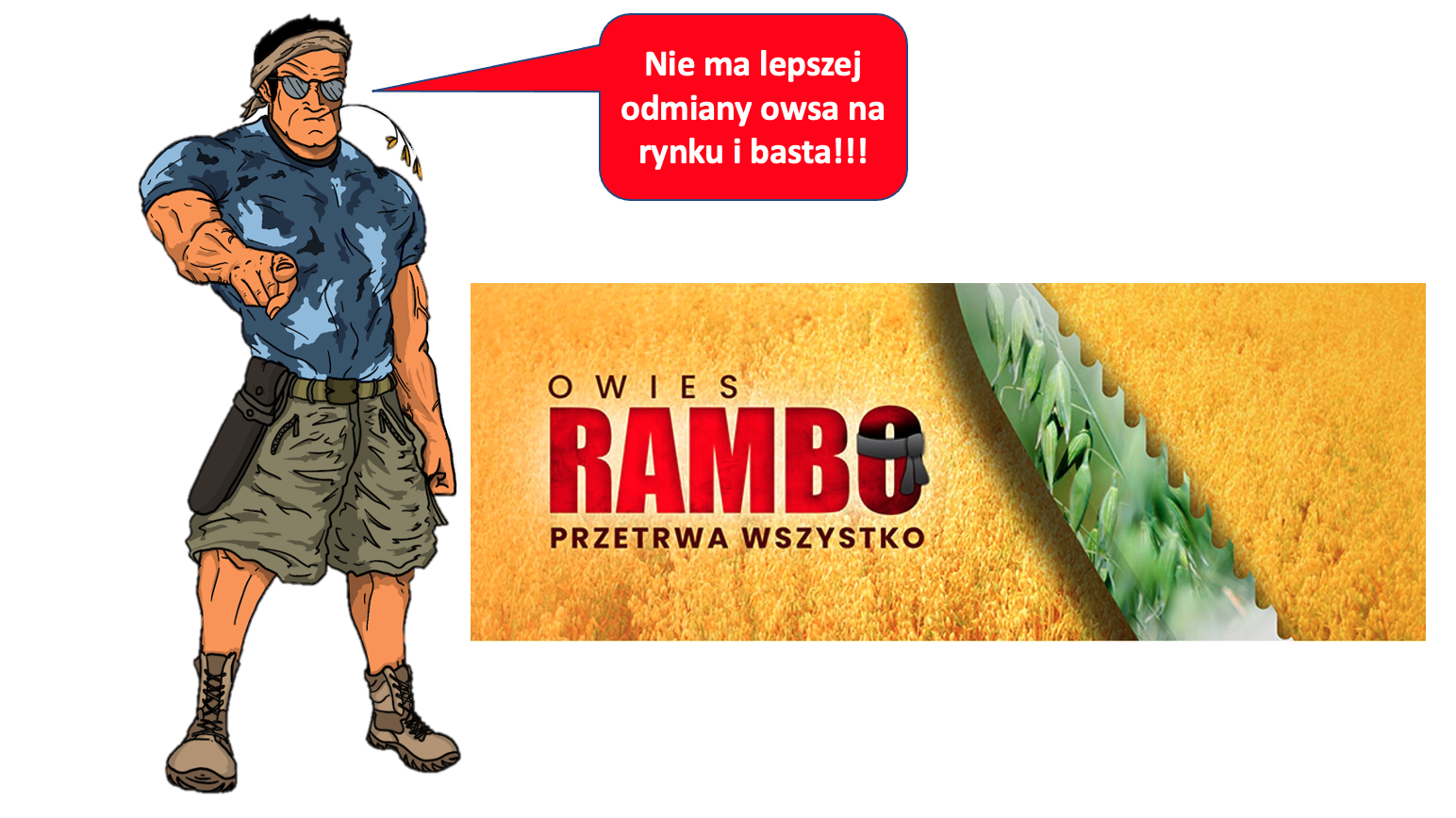 owies Rambo - hasło