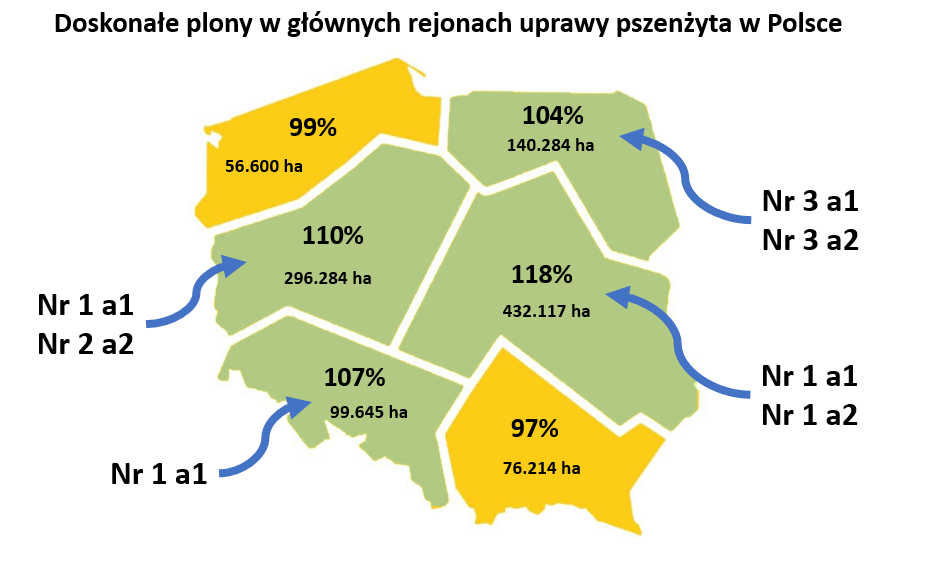 Plonowanie pszenżyta Comodoro w rejonach uprawy pszenżyta ozimego