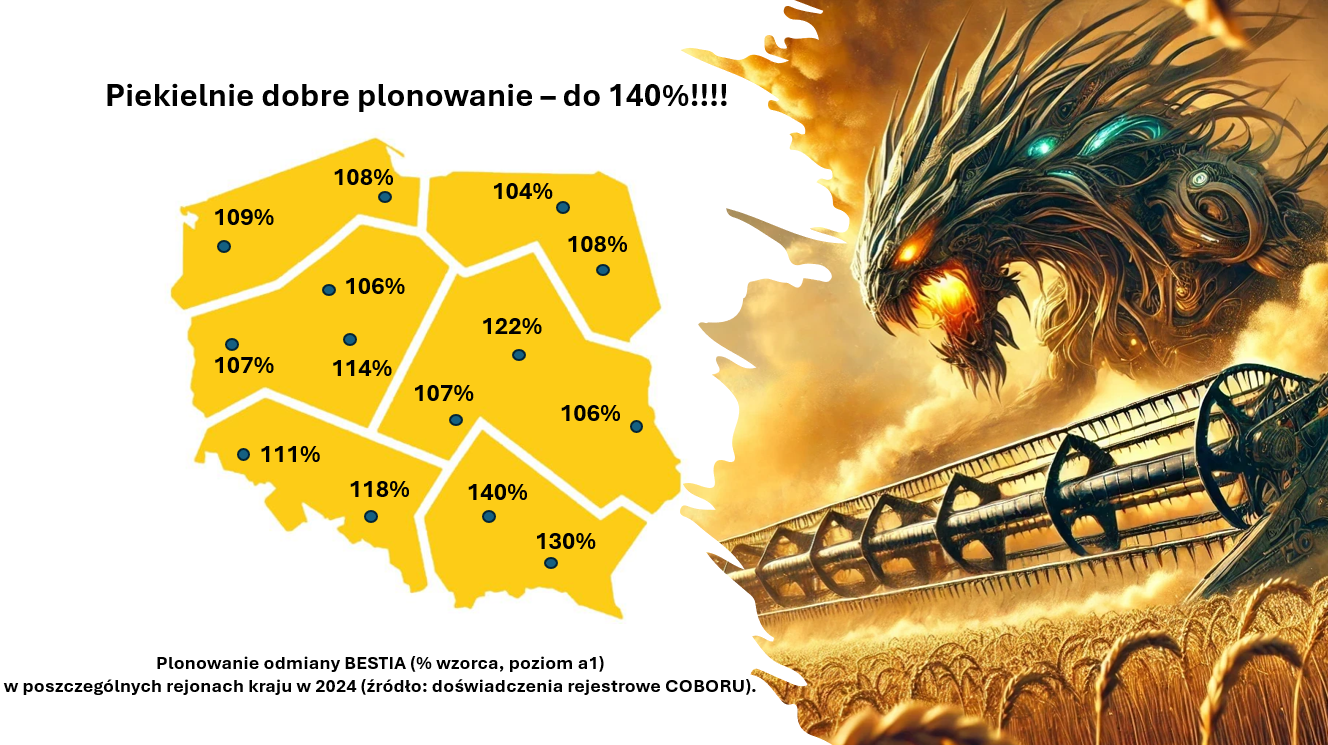 Plonowanie odmiany pszenicy ozimej Bestia