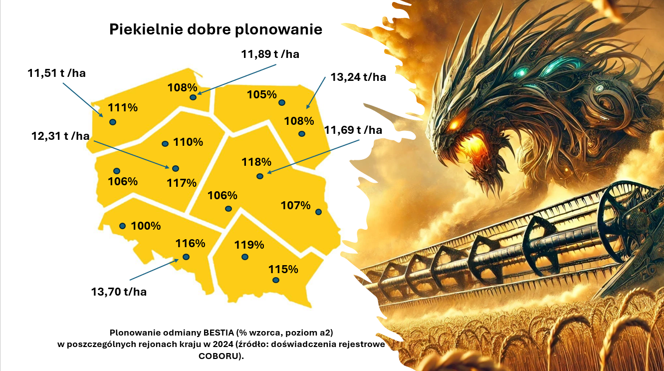 Plonowanie odmiany pszenicy ozimej Bestia