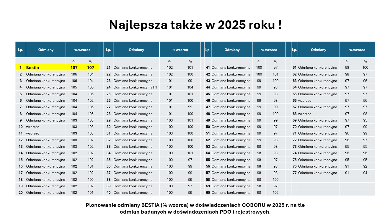 Plonowanie odmiany pszenicy ozimej Bestia