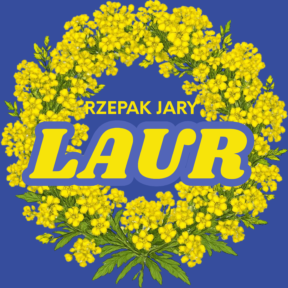 rzepak jary Laur