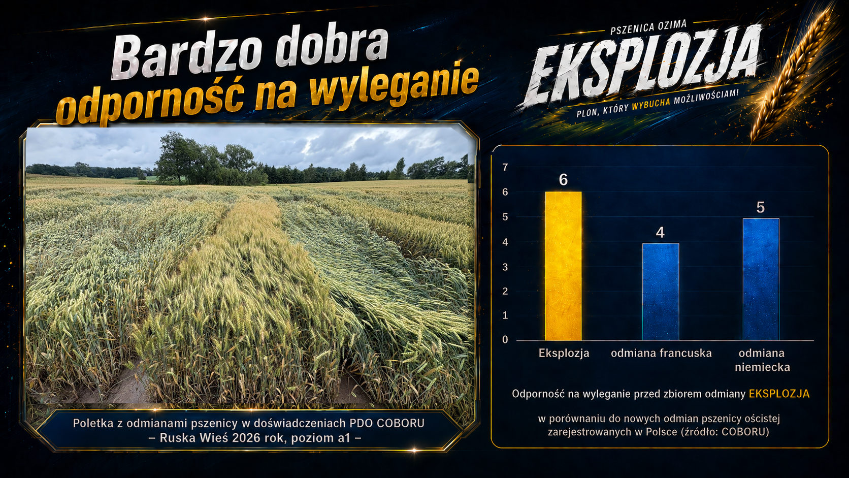 Slajd premium ilustrujący odporność Eksplozji na wyleganie