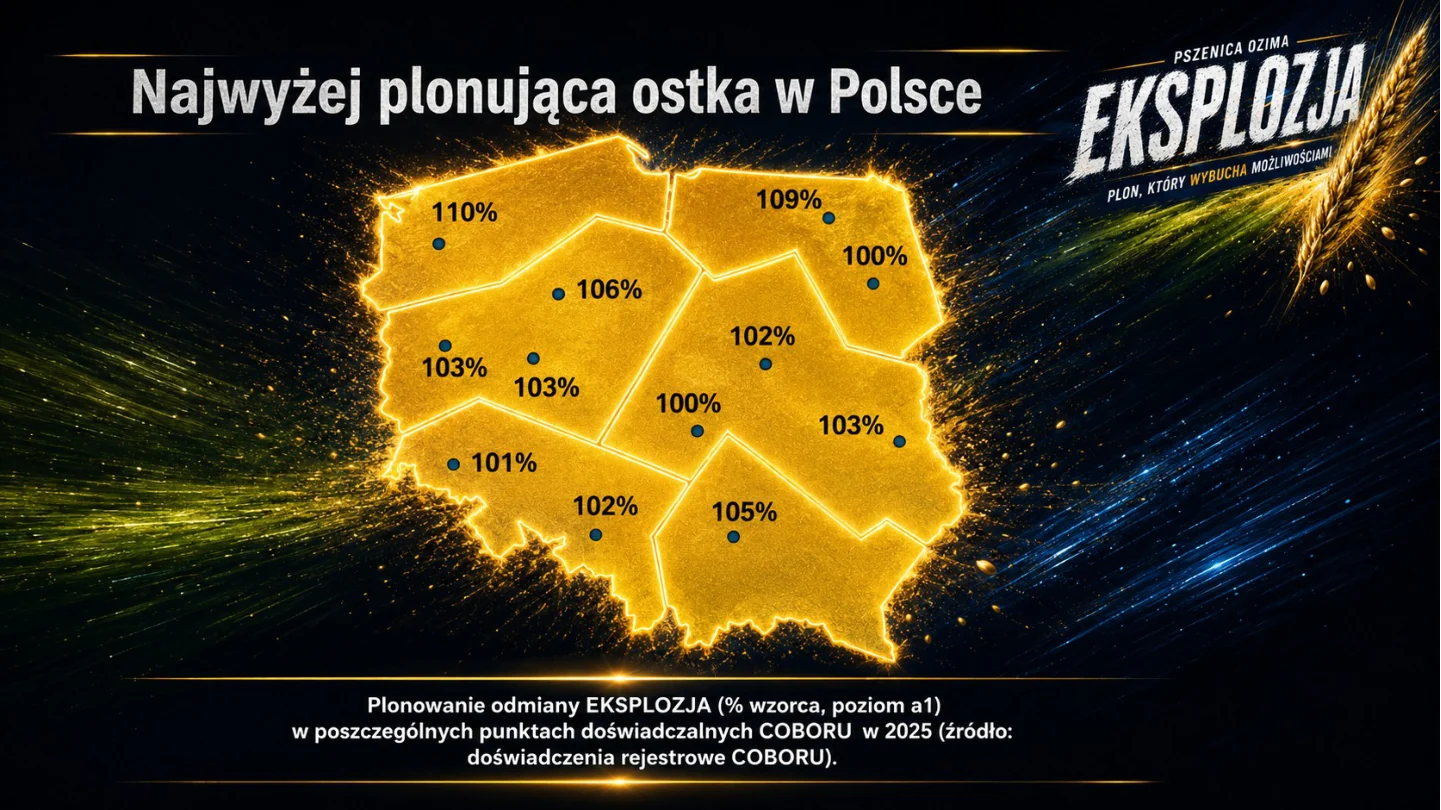 Mapa plonowania odmiany Eksplozja w premium stylistyce prezentacji