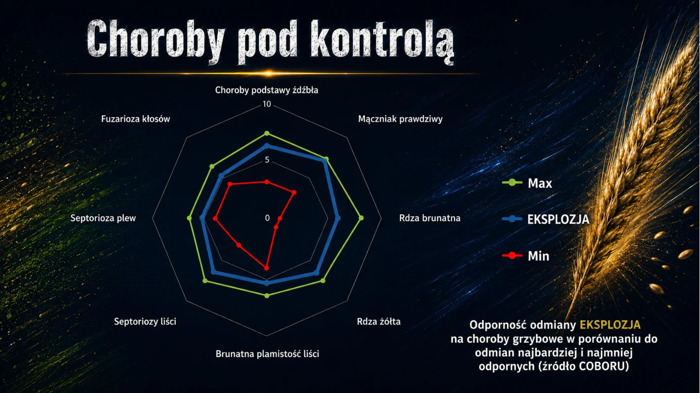 Slajd premium pokazujący zdrowotność odmiany Eksplozja