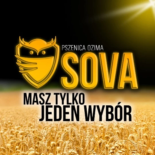 SOVA – Masz tylko jeden wybór, zatwierdzona grafika kampanii odmiany